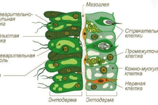 Кракен дарк шоп