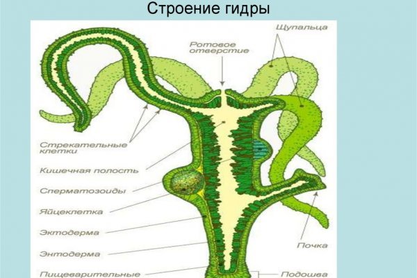 Как отличить оригинальный сайт кракена