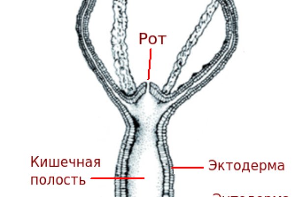 Кракен торговая площадка