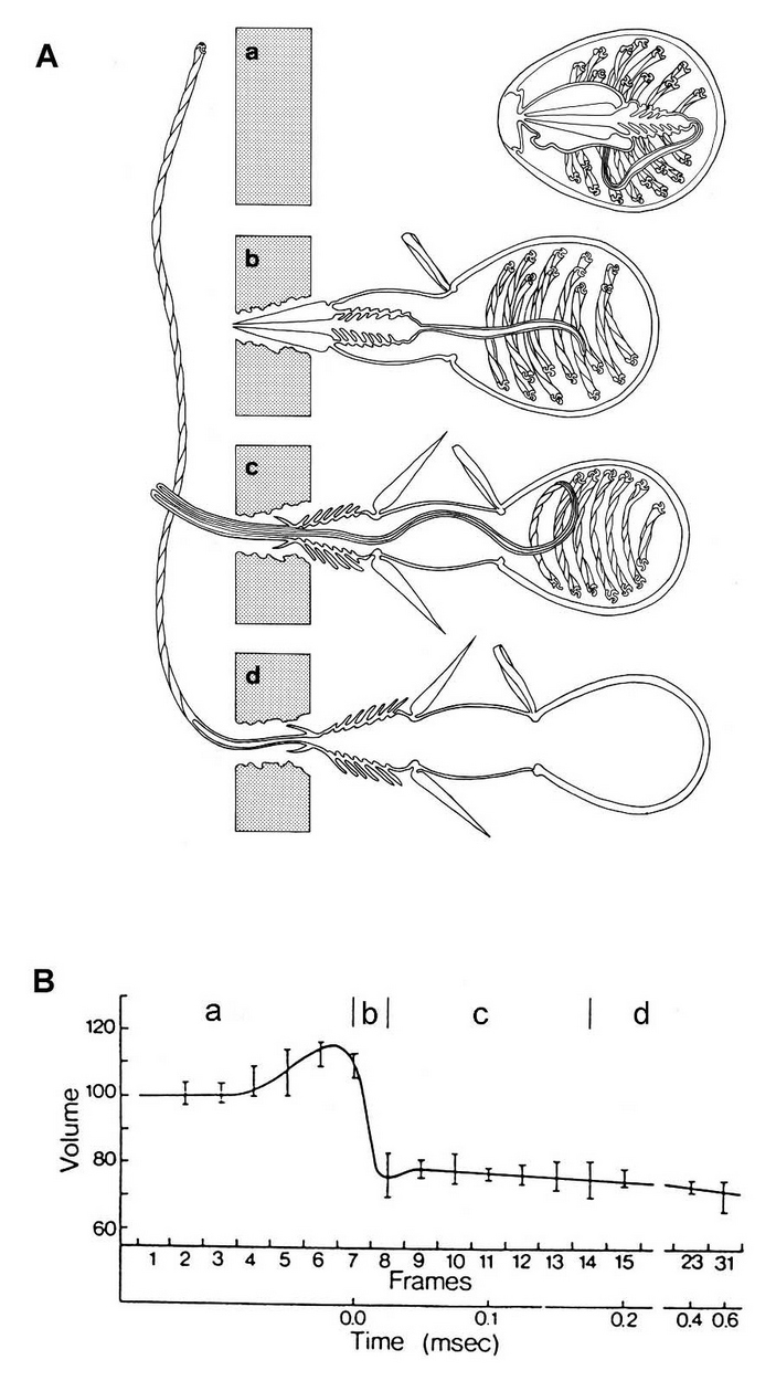 Kra17at