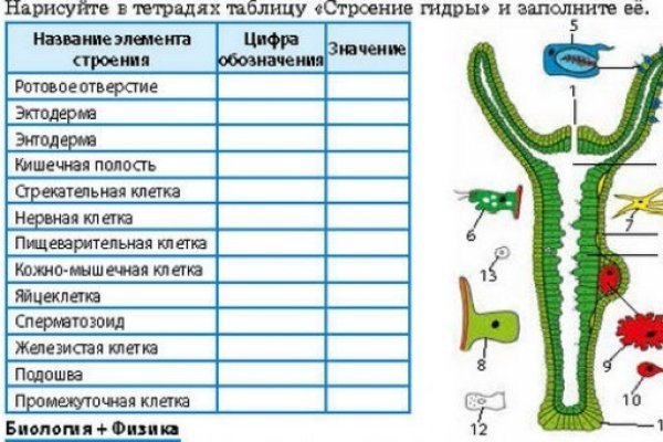 Кракен даркнет зеркало